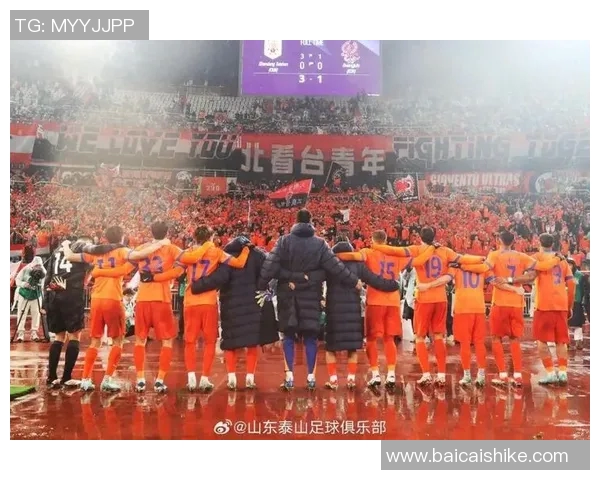 中国足球明星齐聚赛场展现风采助力国家队争夺荣誉 中国足球明星齐聚赛场展现风采助力国家队争夺荣誉